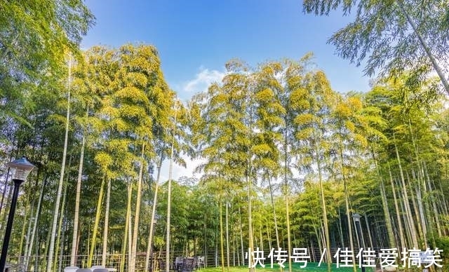 莫干山|莫干山最美的英伦风民宿，占地40亩，去藏在竹林里的城堡度假