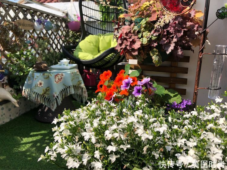 阳台|DIY改造17㎡屋顶花园,忙得不亦乐乎,在喧嚣城市打造一隅静谧