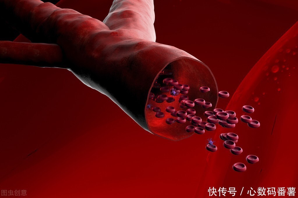 食物|血脂升高的祸根不只是肥肉,还有这4种食物,再喜欢吃也要忌口