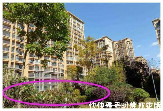 楼房|楼房层高30层,选择哪个楼层最好?帮你分析,更清晰的辨别好房子