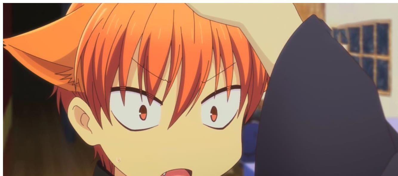 水果篮子里本田透的妈妈