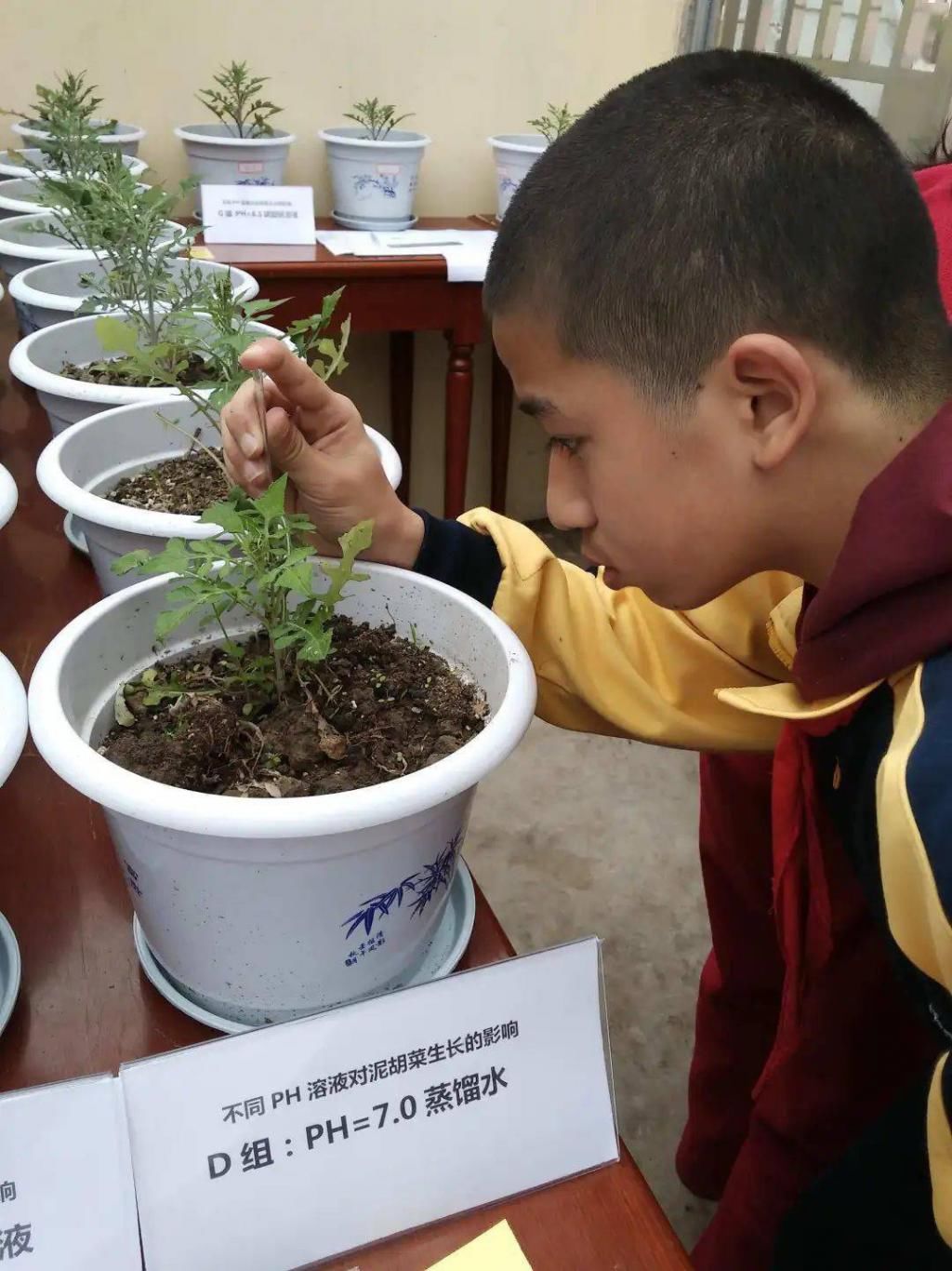 德育课程|奉浦这所中学，总有一股淡淡的药草香