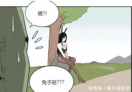 a8736|搞笑漫画龟兔赛跑，龟仙人的美人计！