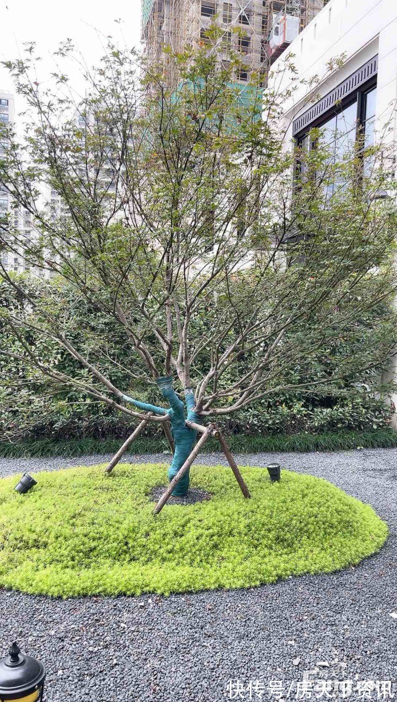 徐州|徐州鼓楼热门楼盘项目现场传来一批新照片，请查收