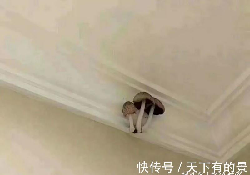 集成吊顶|装修不要做“马后炮”,要做最接地气的决定,现在住着很幸福