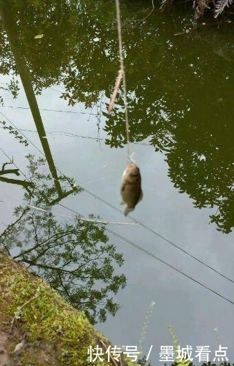 鱼钩|没想到还能这样钓鱼,一看就是个高手
