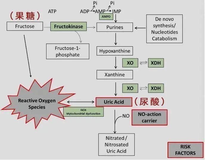 14岁男孩患痛风：这些饮料已被列入“黑名单”！孩子还疯狂喝，家长赶紧看看！