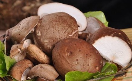 焯水|香菇到底是直接炒还是先焯水,很多人都做错了,难怪不好吃!