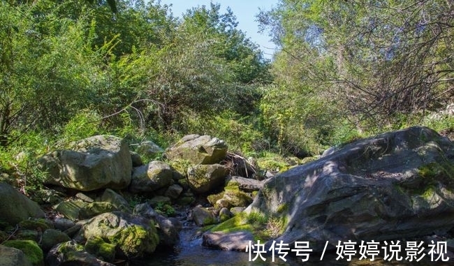 茱萸|寻访秦岭苦竹沟，灌满浆汁的烂红野果和山货挂满枝头，都无人采摘