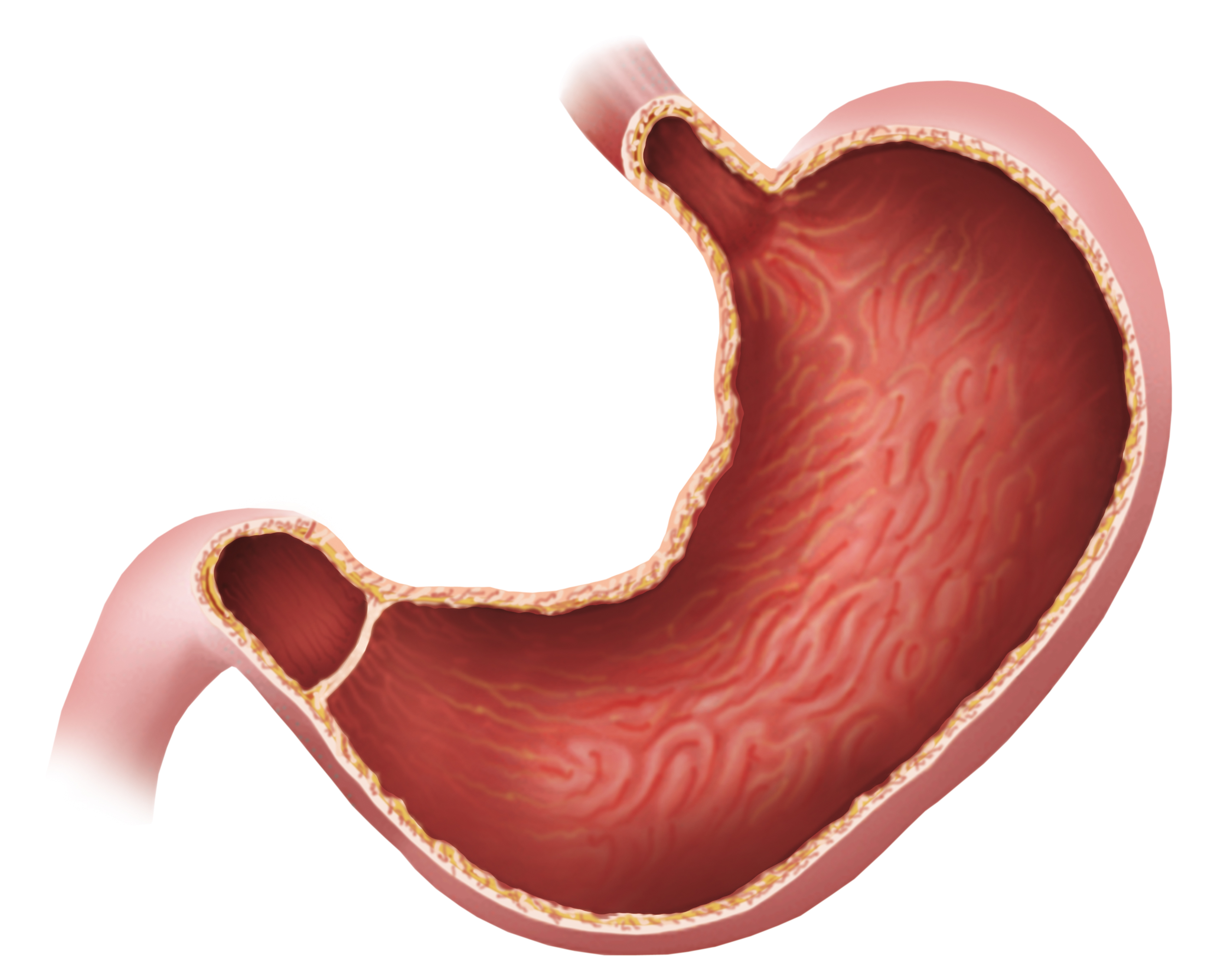 便秘|这3类食物富含膳食纤维,便秘的宝宝不要错过