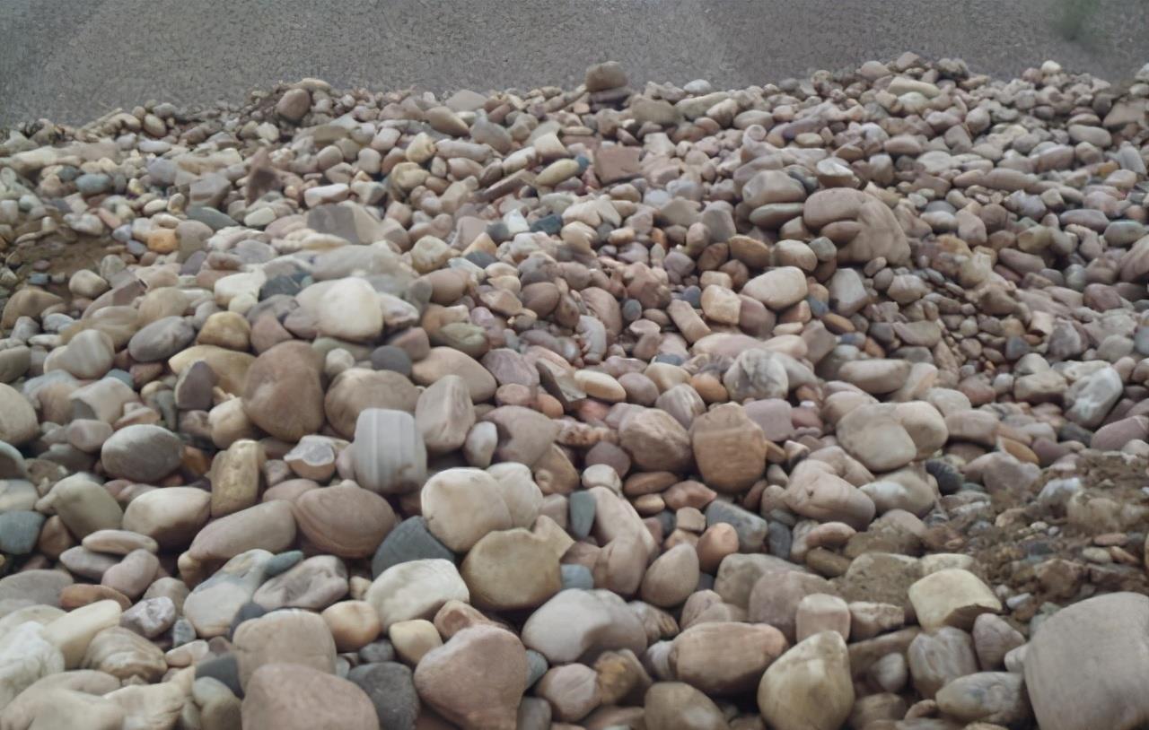 春季换盆“垫底”,十种材料不用花钱买,好用又透气,赶紧去找点