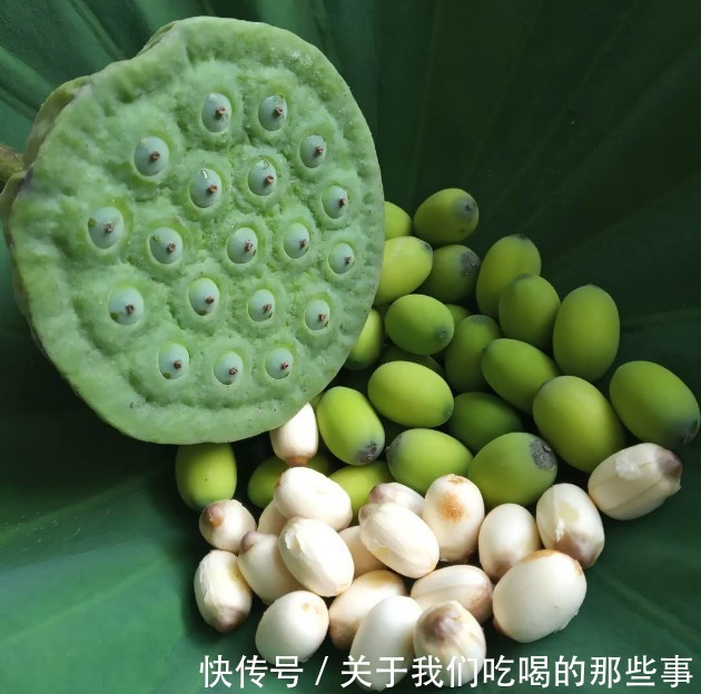 伏天|伏天,吃冬瓜不如吃它,2元1个,蒸成小零食,清热解暑,养心安神
