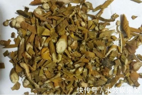 肾脏|被称为天然雄性激素,男性坚持泡水喝,肾脏回春,年轻不显老!