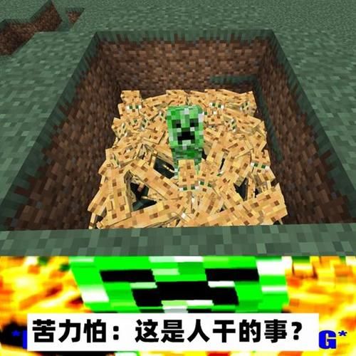 我的世界 6幅关于minecraft的漫画 苦力怕 当之无愧的主角 全网搜