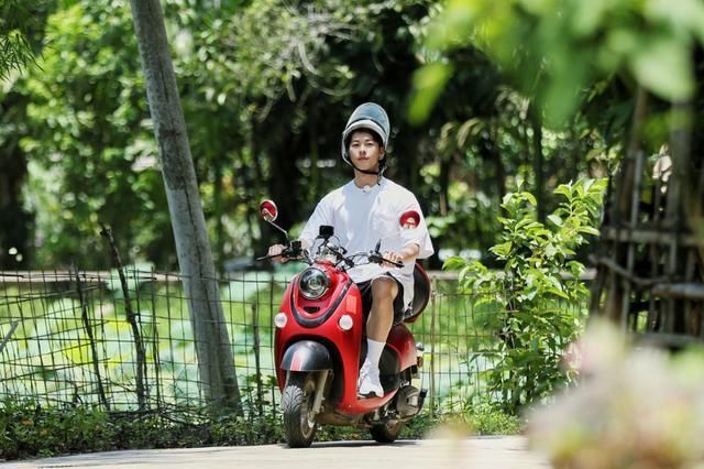 去马尔代夫也挽不回《向往》的颓势?或许这档综艺是时候该结束了