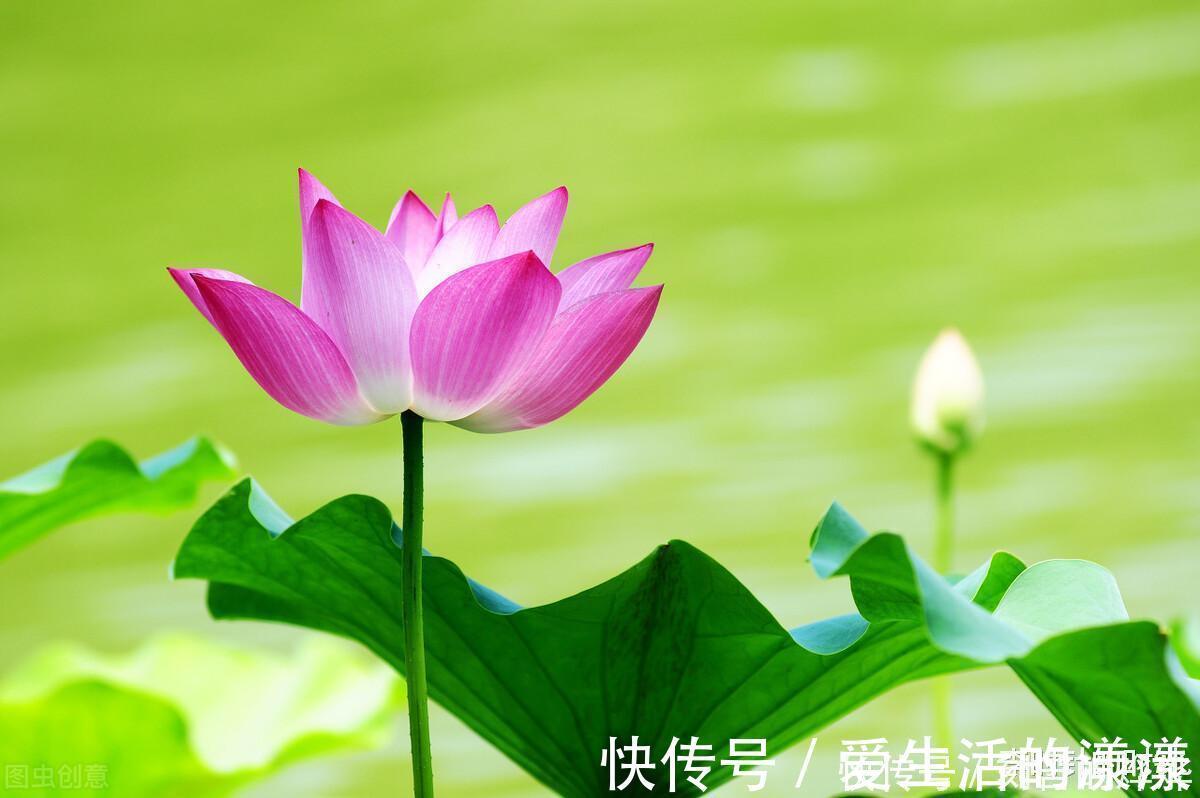 情诗&新婚燕尔,李商隐写下一首诗赠给妻子,堪称大唐最美的情诗