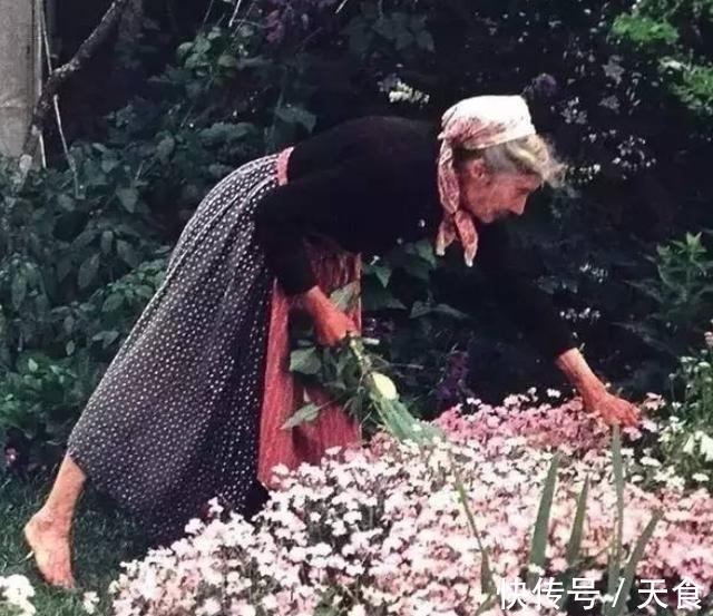 花草&93岁的少女,隐居山里,与花草为伴,将自己活成了精灵的模样
