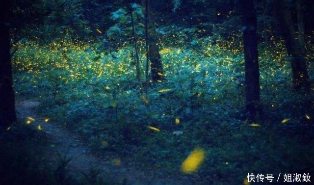 孤独之|林语堂最妙的一首打油诗,全诗无一孤独字眼,却是孤独的最高境界