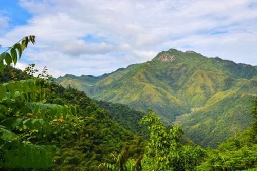 浙江一处适合登山赏花的景点，有10万亩杜鹃花，这里终年云雾缭绕