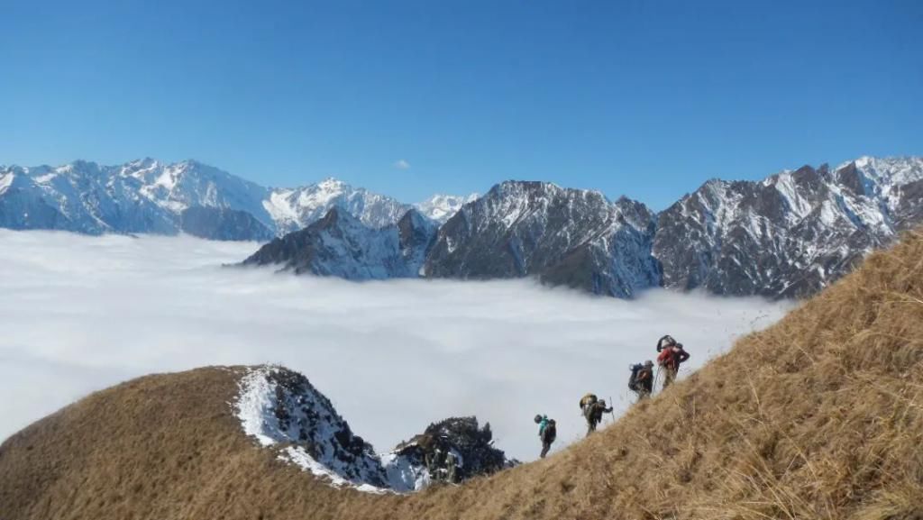 追豹|雪山追豹！不畏雪崩、悬崖峭壁，他们拍到了“最美猫科动物”