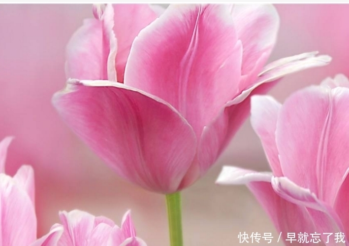 咸鱼大翻身 鸿运当头的生肖 安顺论坛 咸鱼大翻身 鸿运当头的生肖 安顺论坛