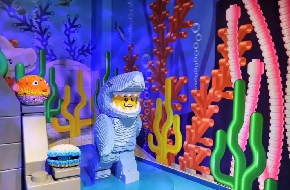 中年|滑冰、野餐、游园……小编带你一站式游玩！