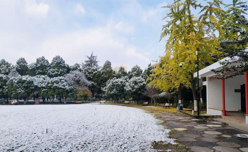 西安交通大学校园雪景|青年眼| 校园