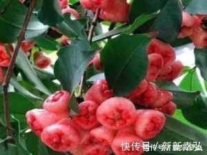 美容养颜|夏天来了，常吃四种食物，能清理毒素，排出污血，肌肤水嫩