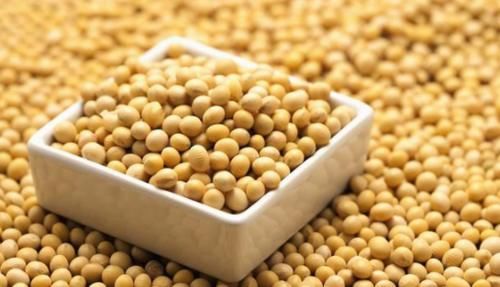 心脏不好|心脏不好的人有福啦！多吃以下4种食物，能够有效护心