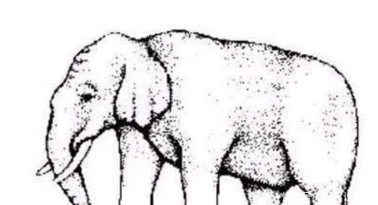 萃枫苷|老年痴呆最新测试5张图中你能看懂几张至少3张才算你合格!