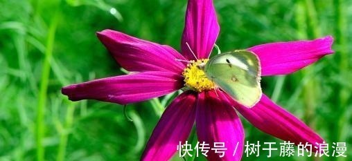 父母|孩子出生在几点钟,孝心十足,日后必定是有用之才,光宗耀祖