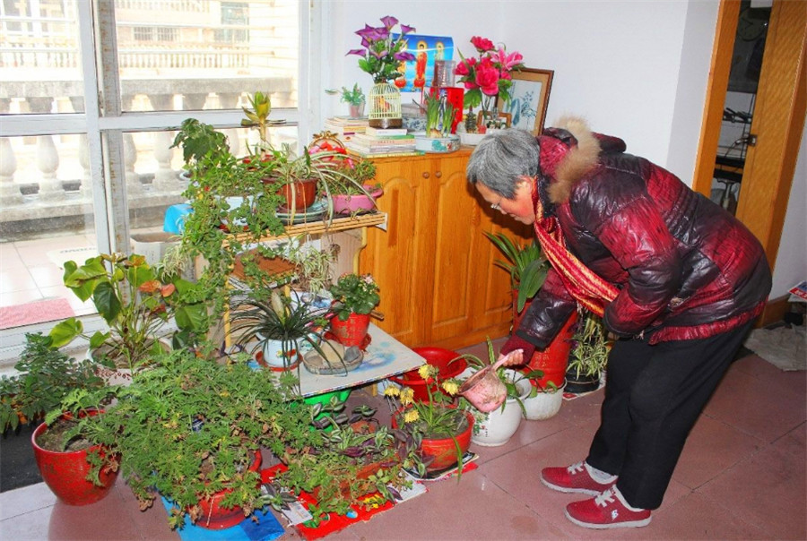 刘奶奶养花从不买营养土,这三种废弃物掺一掺,没有养不旺的花!