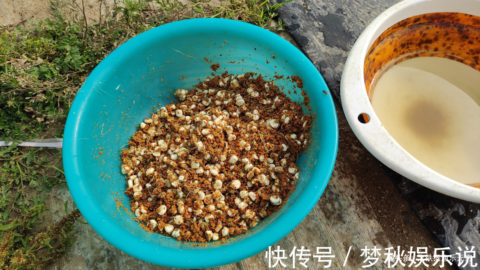 攻略|野钓大鲤鱼全攻略，学会此钓法后，大鲤鱼排队咬钩