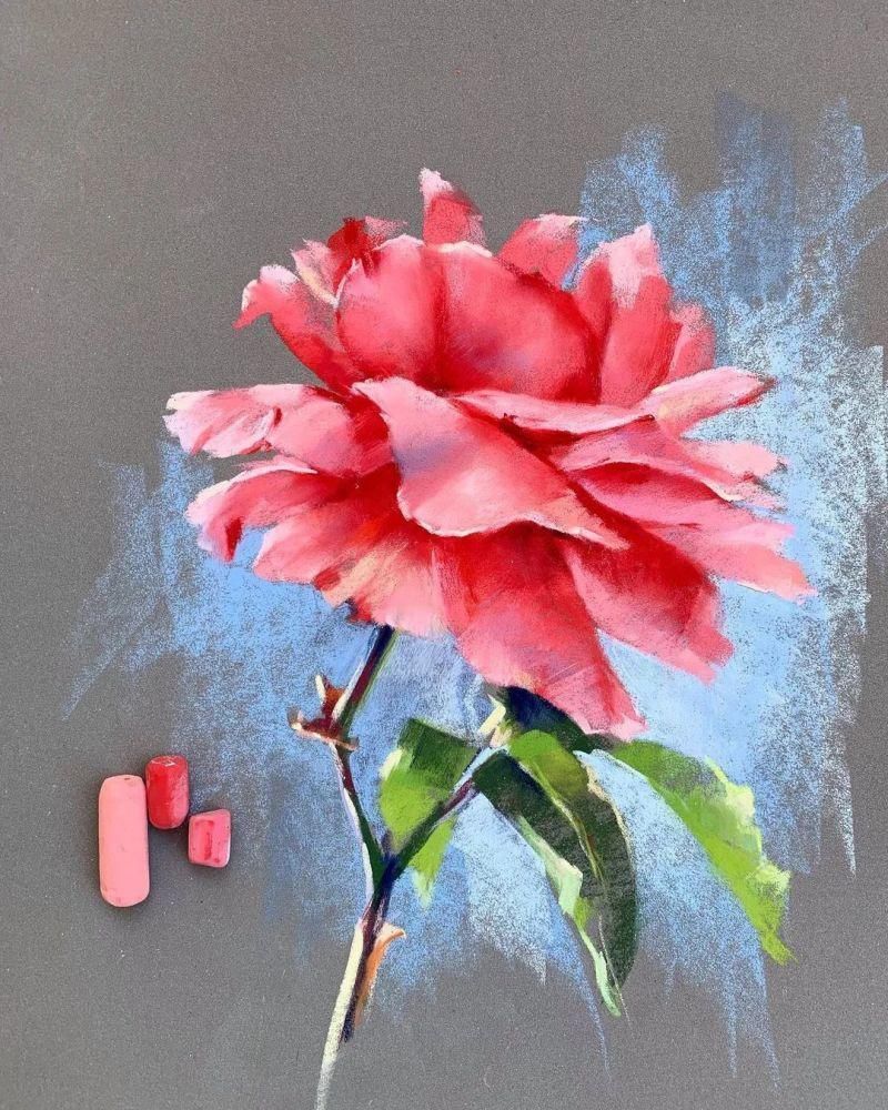 鲜花!太疯狂了!原来用粉笔画画,也可以这么美,简单几招教你,美到邻居羡慕嫉妒