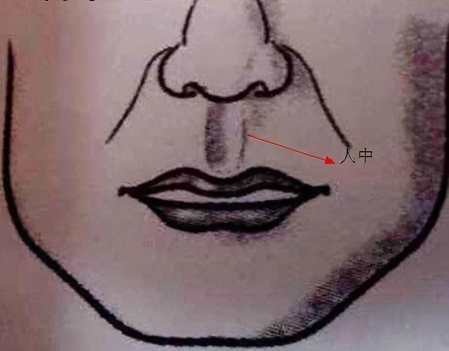 寿命|寿命长的人,脸上有5大特征,即使占一点,也值得恭喜,长寿体质