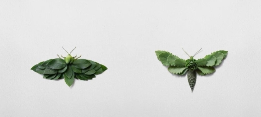 树叶$他拿花瓣、树叶随便一剪一贴就卖23万!网友:买过的人都说“值”