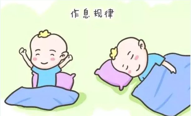 寒假|?合理膳食营养，享受健康寒假