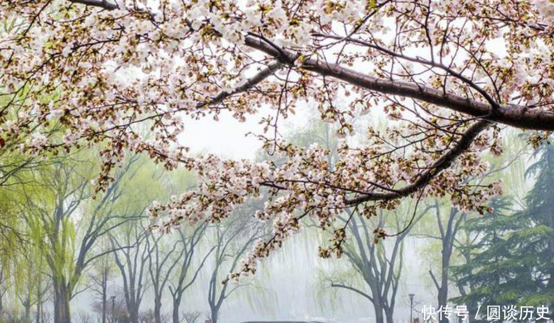 生活|杨万里把生活中的小事写成诗,一首经典的七绝《小雨》,美得惊艳