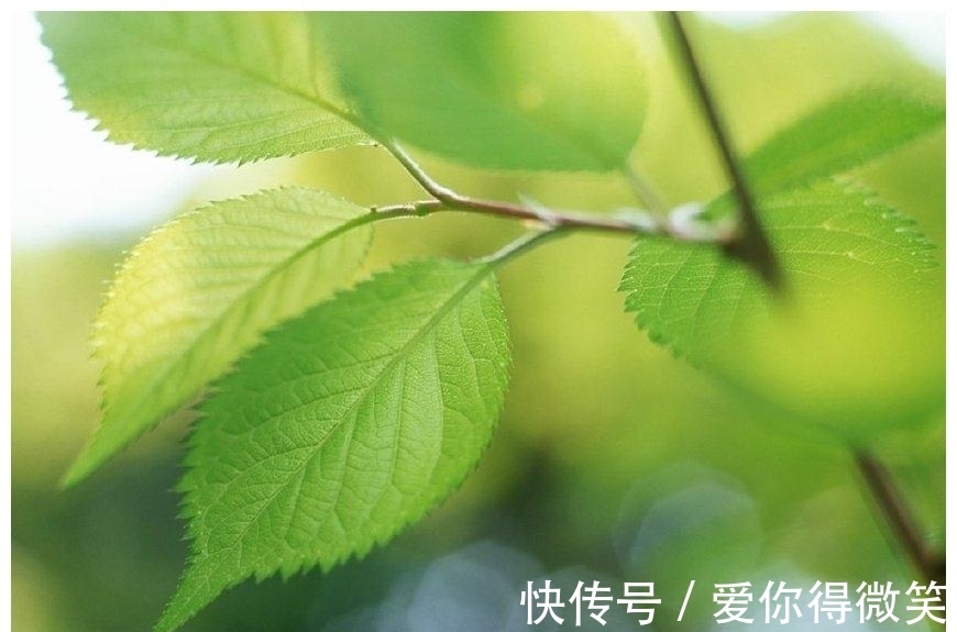 财运|7月，福气降临，财运节节高升，事业蒸蒸日上的3星座