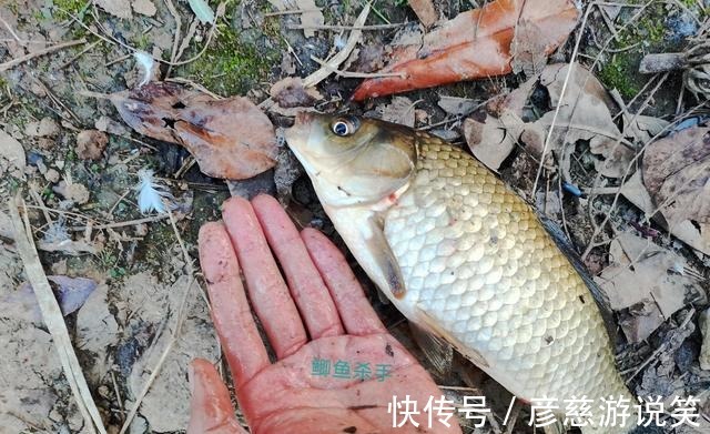 拉力值|八字环这样用钓鱼就是好,非常实用的钓鱼技巧!