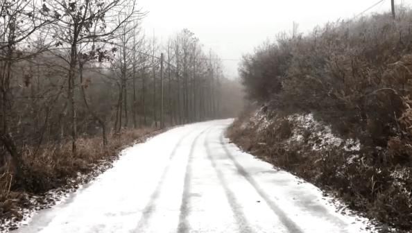 雪景|丽水这些地方下雪了，美炸了~最新雪景美图，请签收