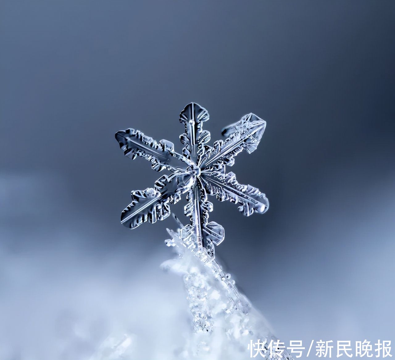 积雪|怕你不来，又怕你乱来，今天沪苏浙皖多少人在等一场雪