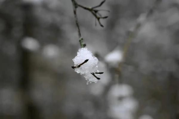 雪花儿|雪后小城，每一帧都美成屏保!