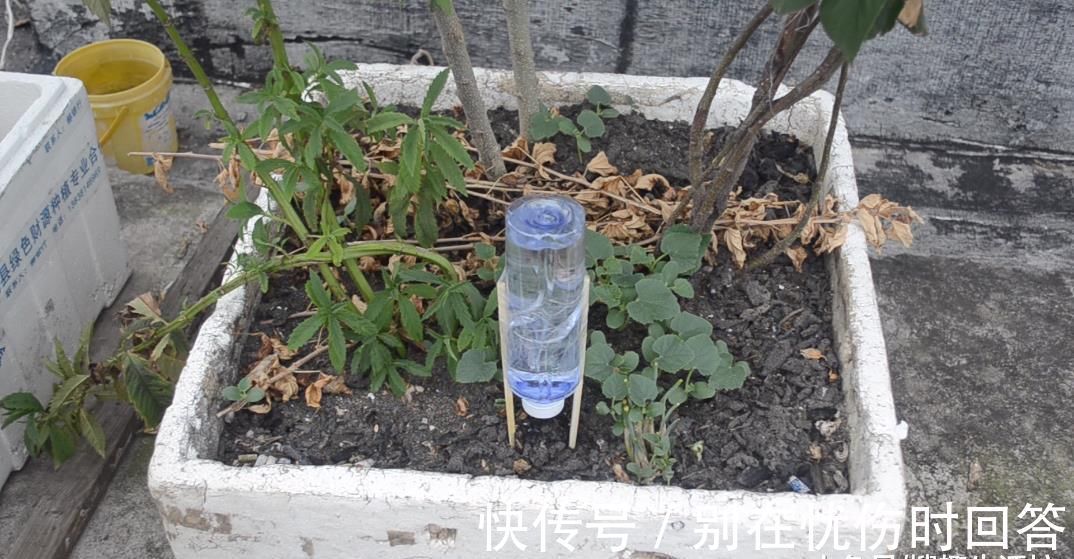 筷子|塑料瓶上绑2根筷子, 这个作用太棒了, 解决了很多家庭的烦恼