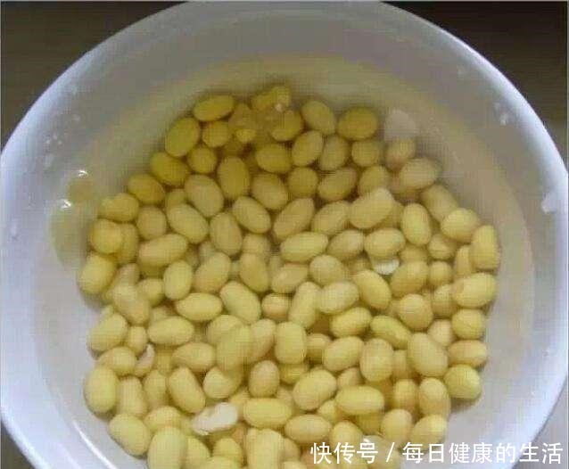 养花只用了黄豆水，不施肥也呼呼冒新叶，这人养花奇了！