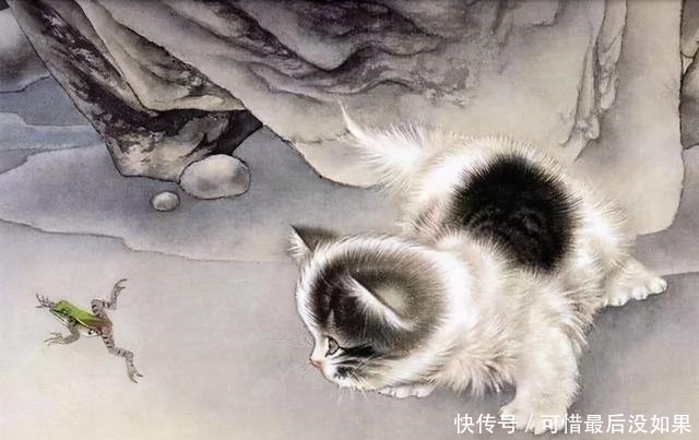 古人|古人为什么不吃猫肉?李时珍说:有一种情况千万别吃