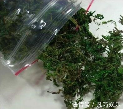 盆土干的太快弄点东西放上,好多天不用浇水!