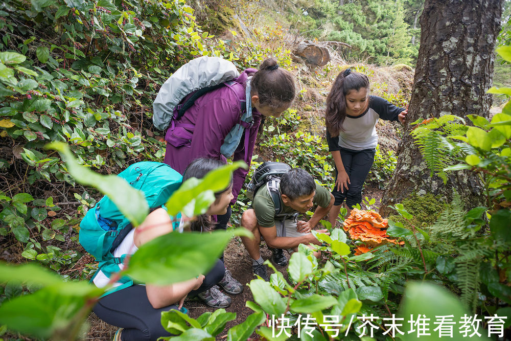 科普教育基地|教育部、中国科协：组织学生到科普教育基地开展实践活动