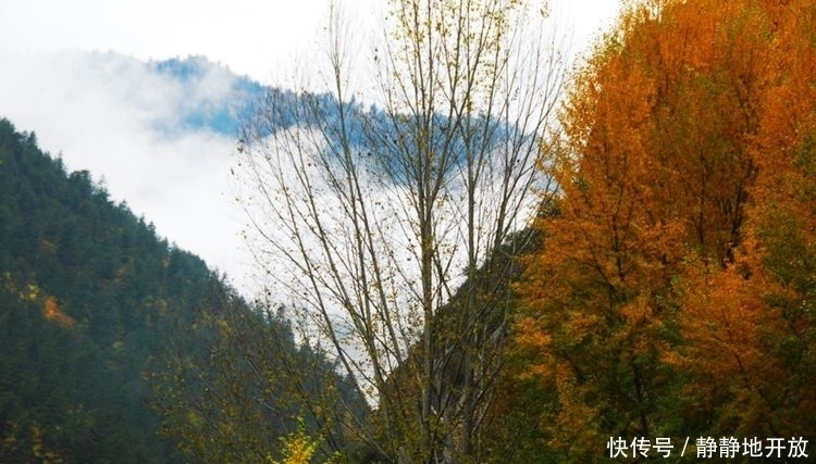 九寨沟|九寨沟最美的季节 你一定要去看一看