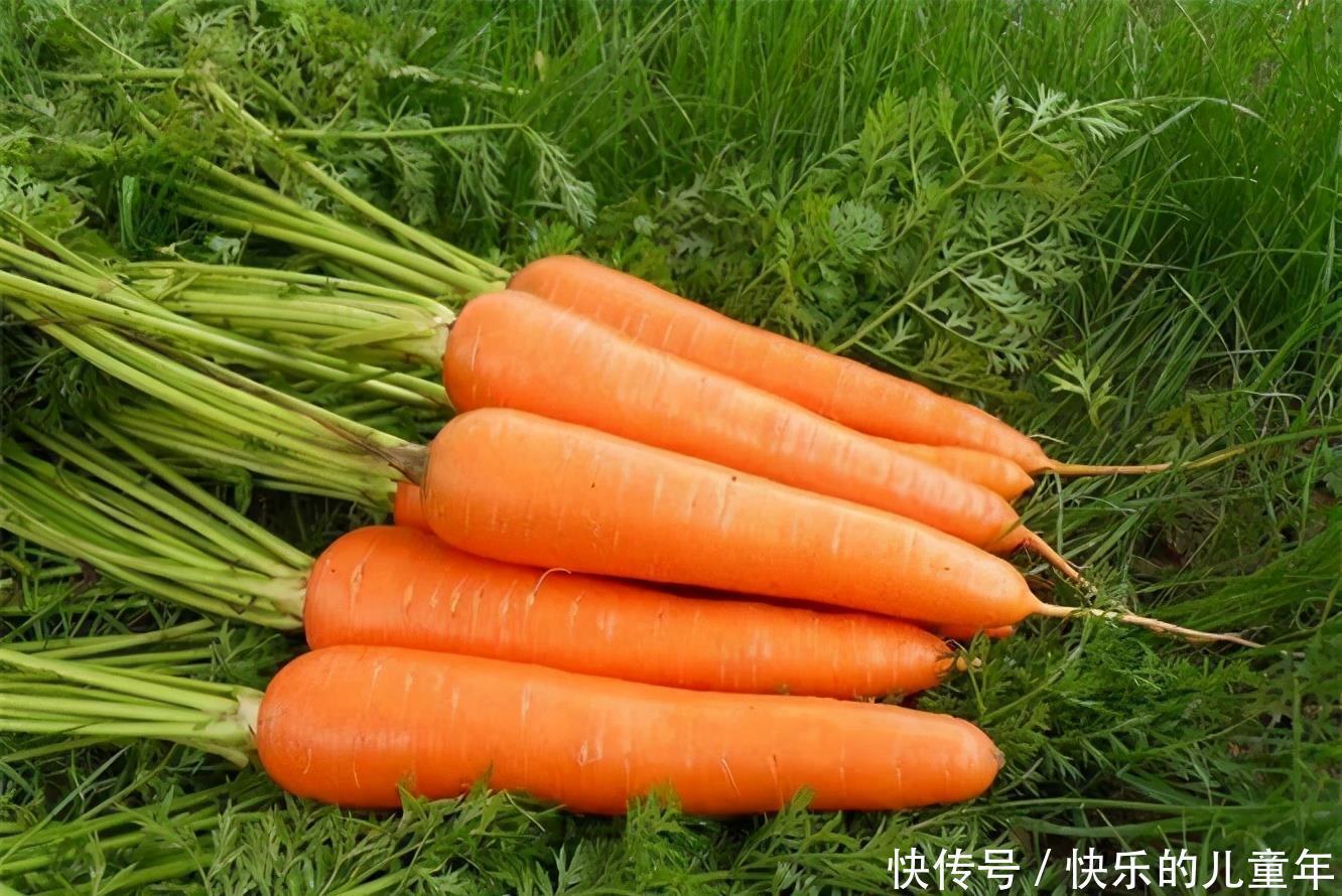 维生素|女性养生常吃3种食物,营养丰富、延缓衰老,早吃早好